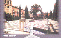 Plaza del Pan. (Al fondo el ayuntamiento)